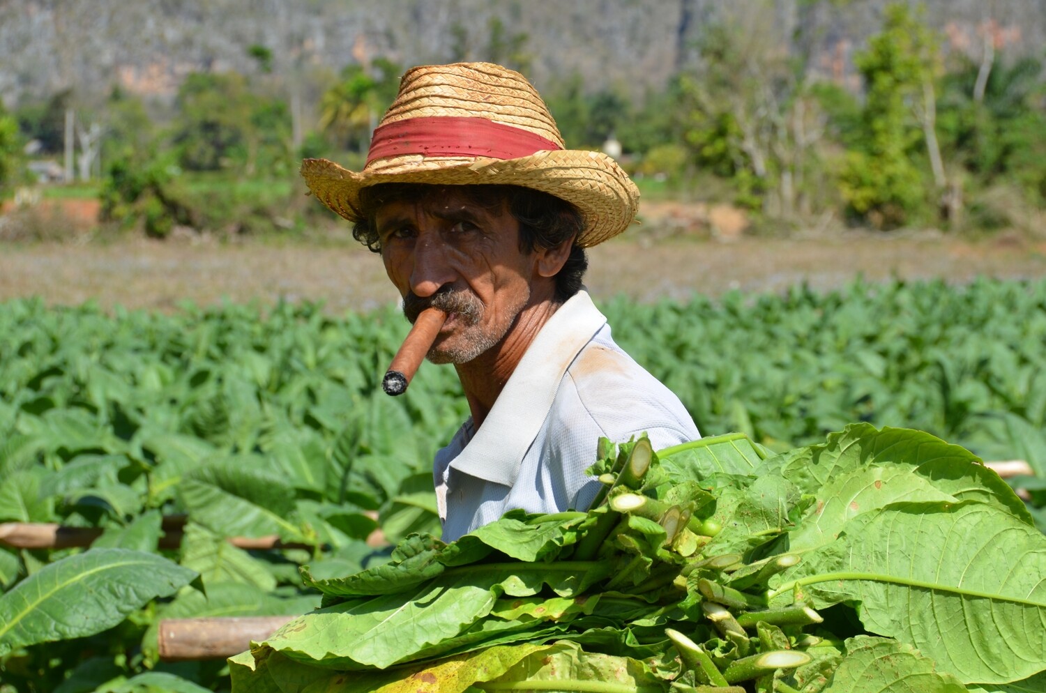 Cuba, les Trésors de Cuba (vols non inclus !)