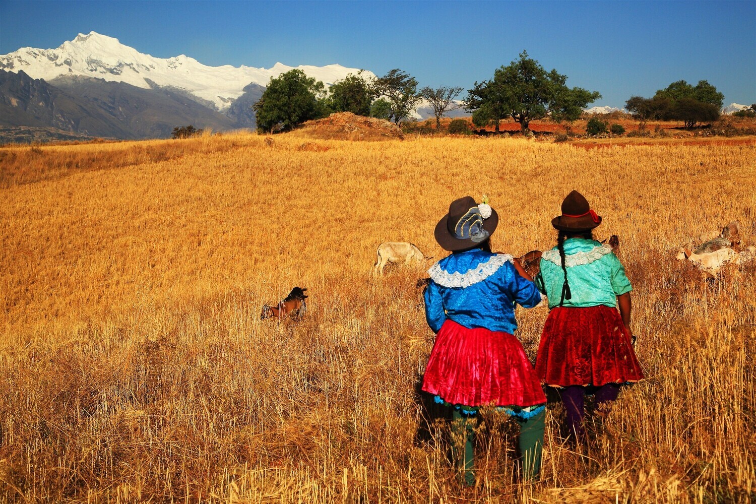 Peru, de Magische Wereld van de Andes