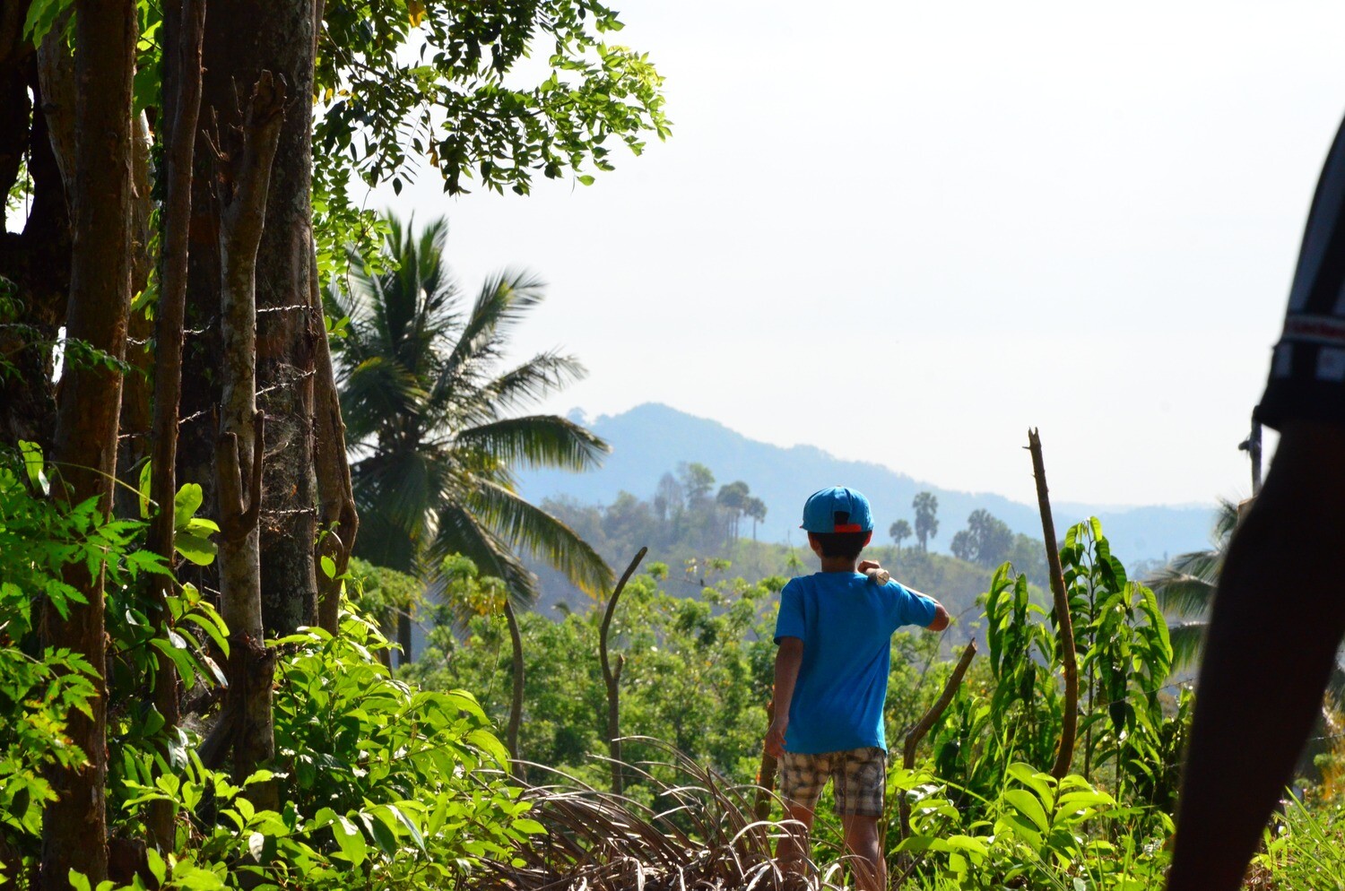 Dominicaanse Republiek, Hola Republica Dominicana