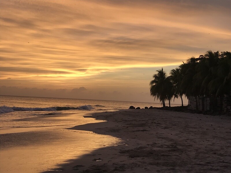 Nicaragua de Primera