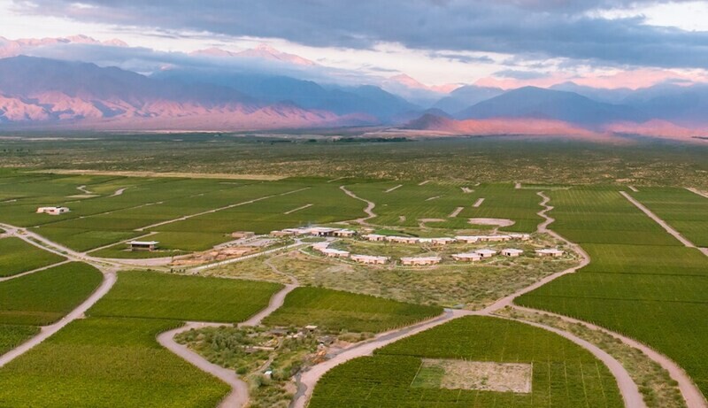 Hotel The Vines Resort &amp; Spa (Mendoza - Argentina)