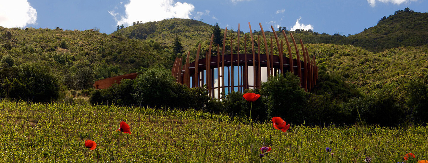 Clos Apalta Residence, Relais &amp; Chateaux (Santa Cruz - Chile)