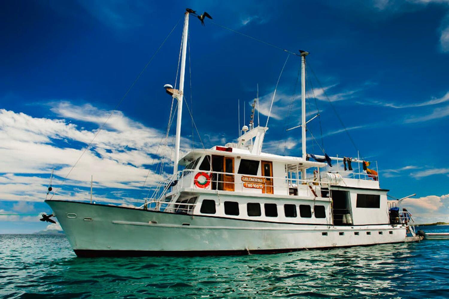 Galapagos, Golondrina
