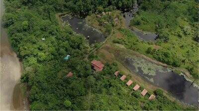 Maquenque Eco Lodge & Treehouse (San Carlos - Costa Rica)