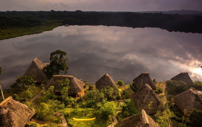 Napo Wildlife Center (Yasuni N.P - Ecuador)