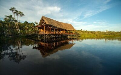 Sacha Lodge (Amazonia - Ecuador)