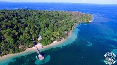 Hotel Al Natural Resort (Bocas del Toro - Panama)