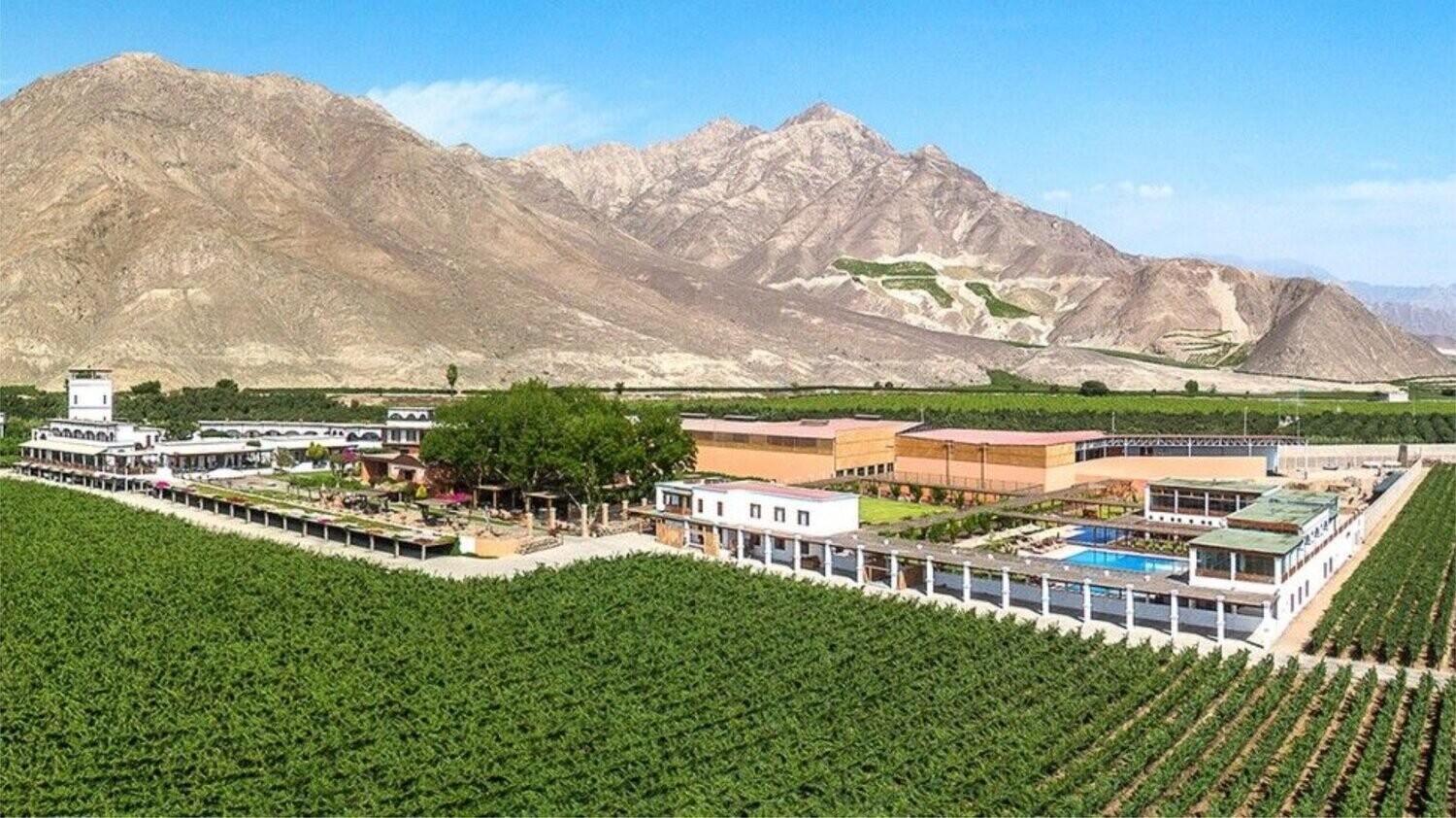 Hotel Viñas Queirolo (Ica - Peru)