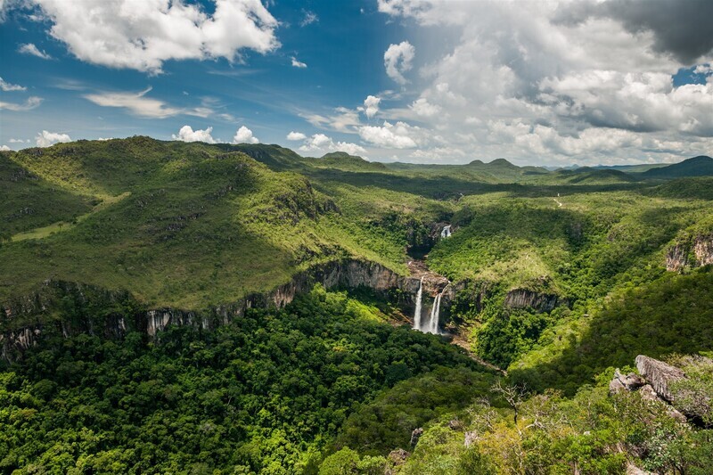 Visitez l&#39;immense jungle verdoyante du Parc National da Chapada dos Veadeiros
