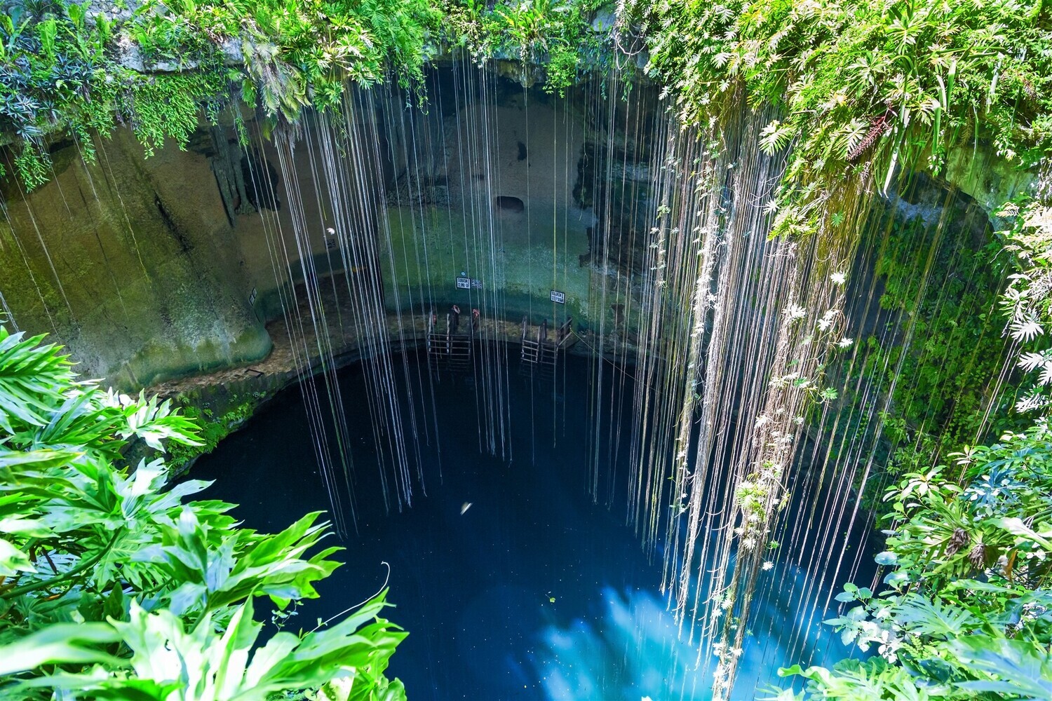 Ontdek de cenotes van Yucatan !