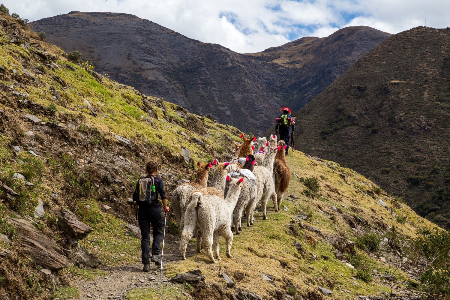 Trekking en compagnie de lamas au Canyon du Colca