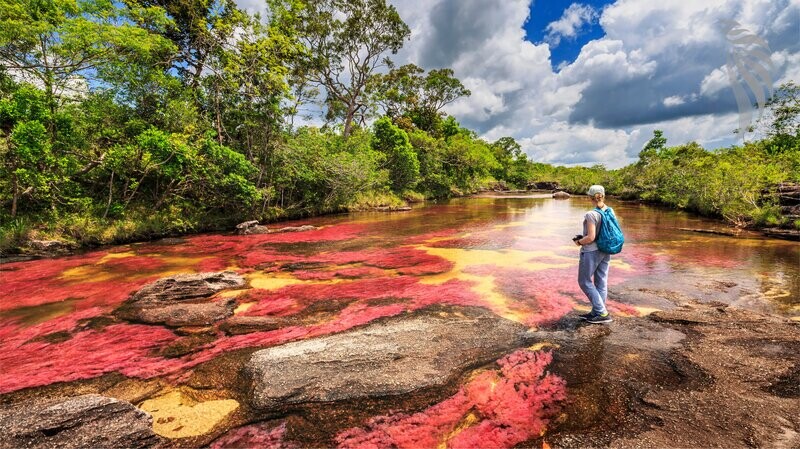 Bewonder de rivier van vijf kleuren, de Caño Cristales.