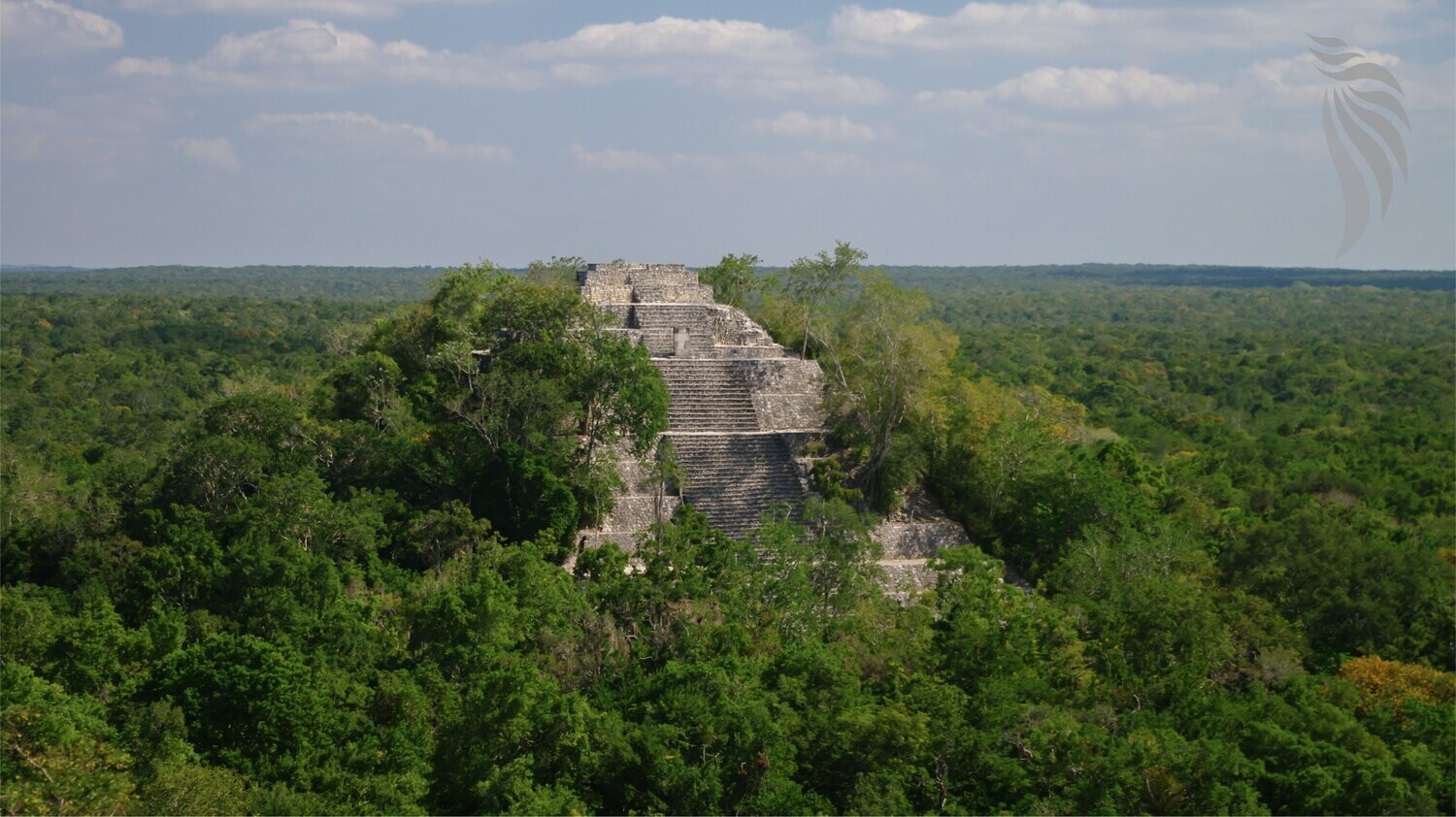 Ontdekking van Calakmul, de Maya-stad verloren in de jungle en haar omgeving!