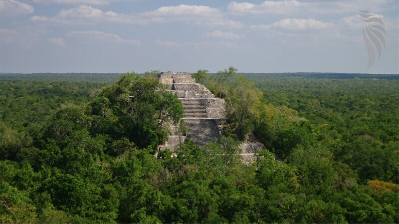 Ontdekking van Calakmul, de Maya-stad verloren in de jungle en haar omgeving!