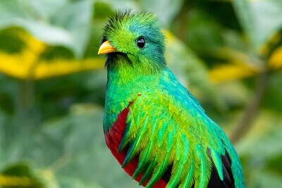 Individuele rondreizen Costa Rica