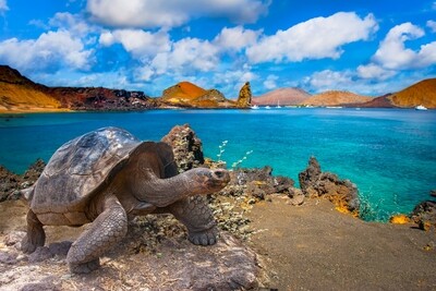 Equateur &amp; Galapagos