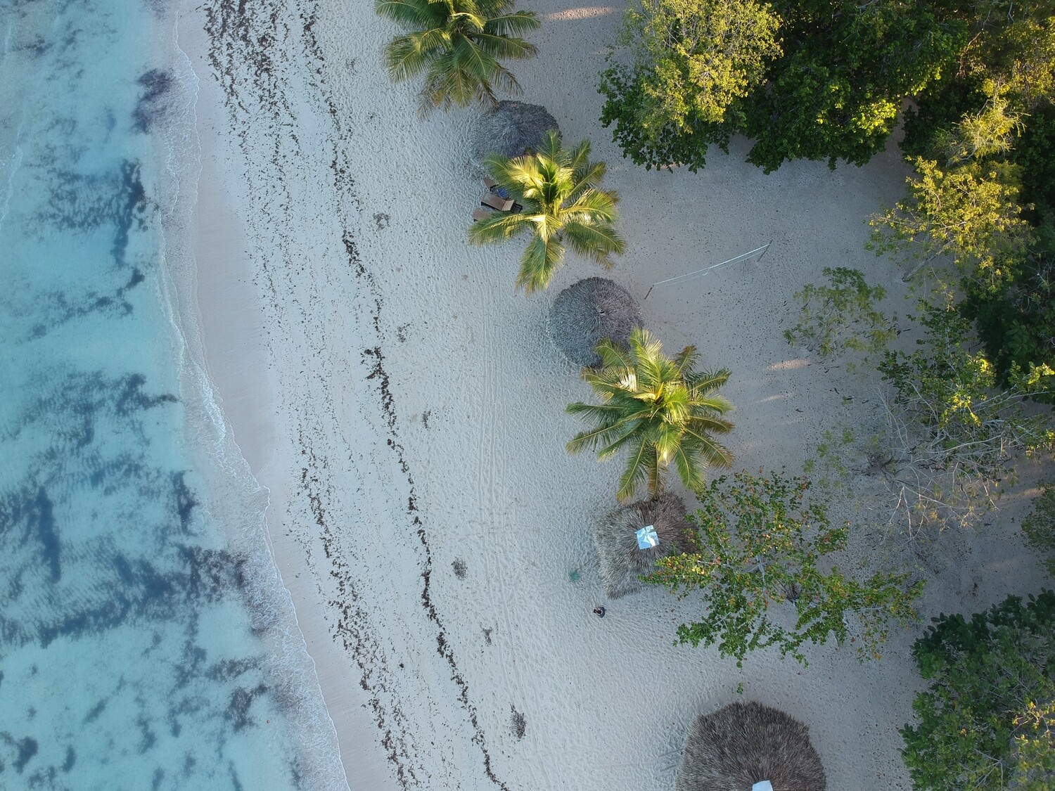 Dominicaanse Republiek, de Schatten van de Dominicaanse Republiek (vluchten niet inbegrepen !) Dominicaanse Republiek, de Schatten van de Dominicaanse Republiek (vluchten niet inbegrepen !)