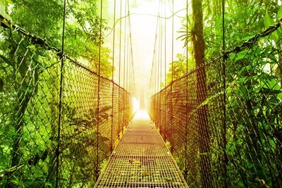 Costa Rica, Welcome to the Jungle (vols non inclus !)