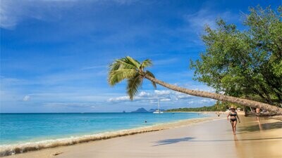 Circuits en voiture de location Martinique