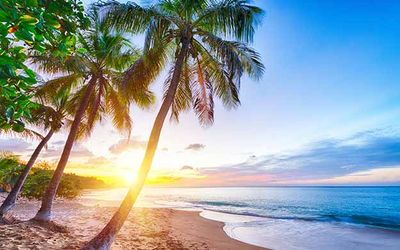 Guadeloupe