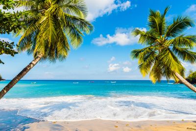 Martinique