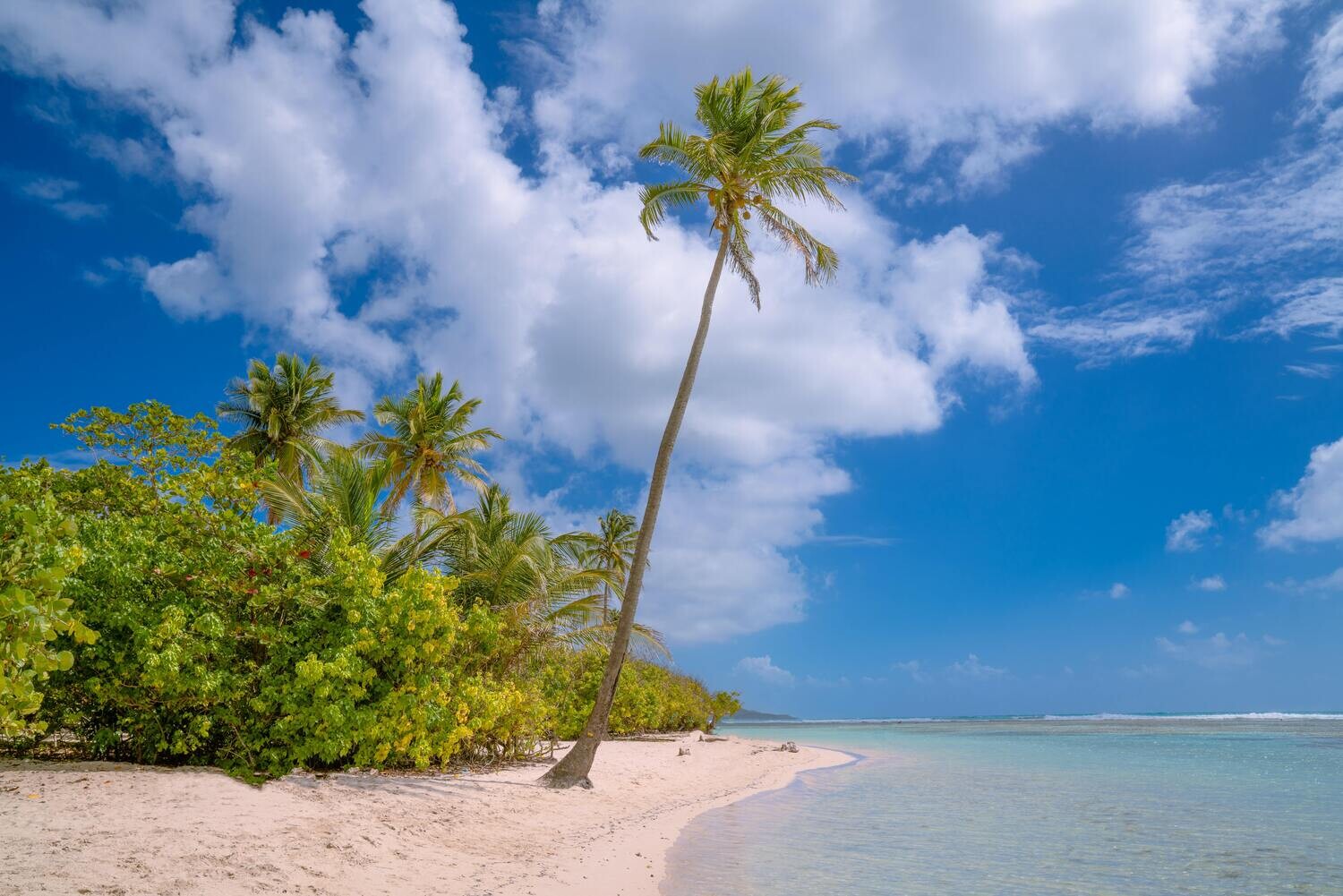 Guadeloupe, de Schatten van Guadeloupe (vluchten niet inbegrepen !)