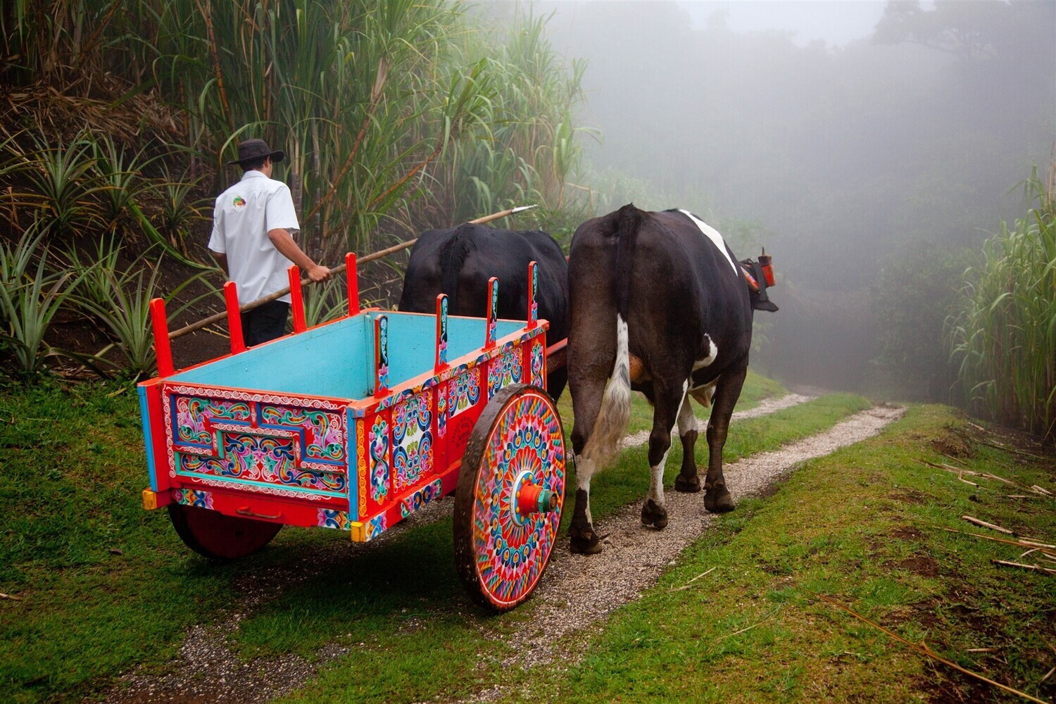 Costa Rica, le Grand Tour du Costa Rica (vols non inclus !)