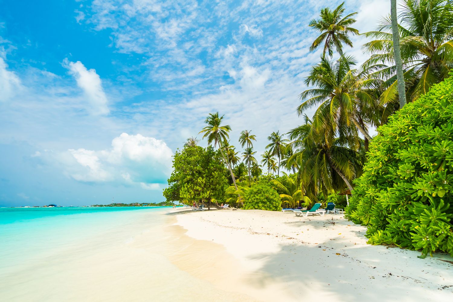 Dominicaanse Republiek, Tropical Escape