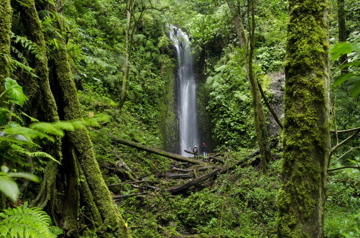 Costa Rica / Panama, Viva Costa Rica &amp; Panama