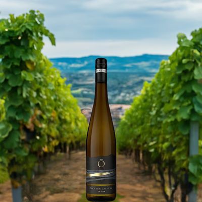 Riesling Devon - trocken (12,5% vol) 0,75 ltr.