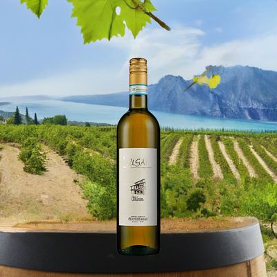 Pasetto - Lugana DOC Cascina Albarone