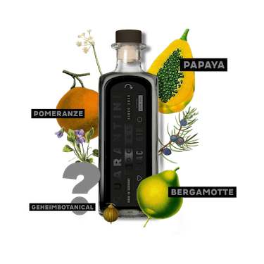 Quarantini - Black Gin 42% vol Alc
