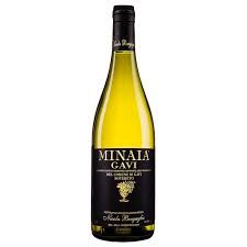 Minaia Gavi