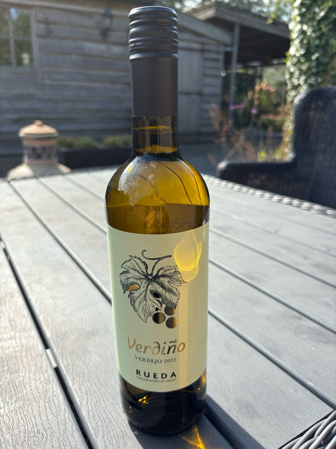 Verdino Verdejo Rueda
