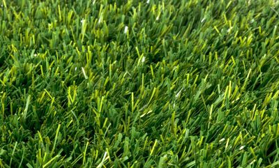 Artificial Turf