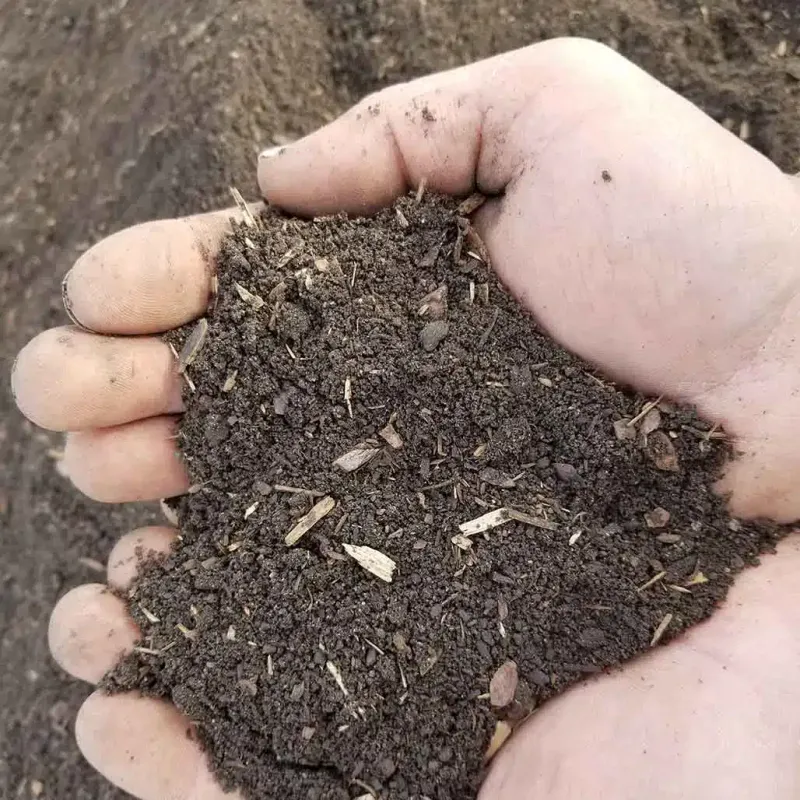 Woodlands Garden Mix