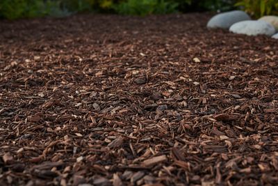 Mulch