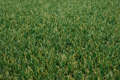 Landscape Synthetic Products