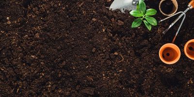 What Type of Soil is Best For Your Garden?