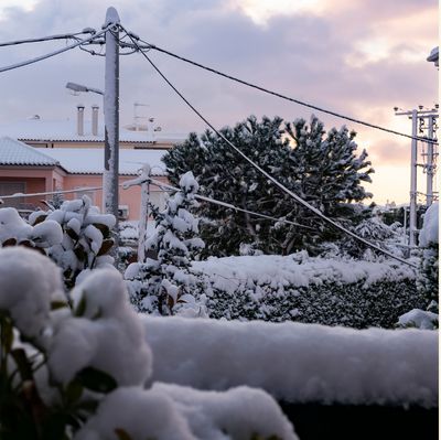 Prepare Your Yard for Winter