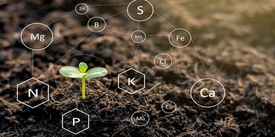 Getting The Best Soil in Calgary