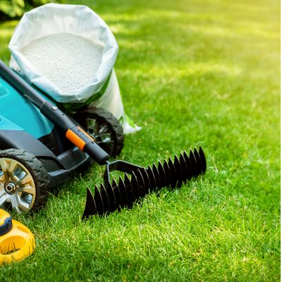 Fall Lawn Care Guide