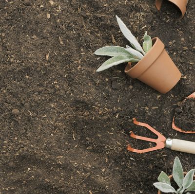 Different Soil Types for Your Garden