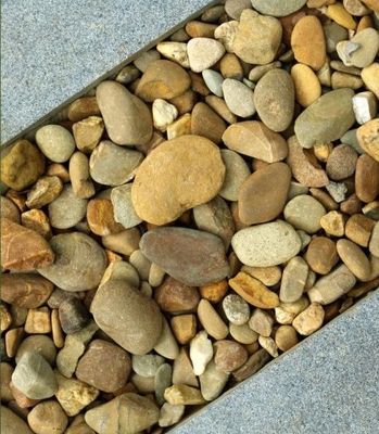 Affordable Landscaping Ideas