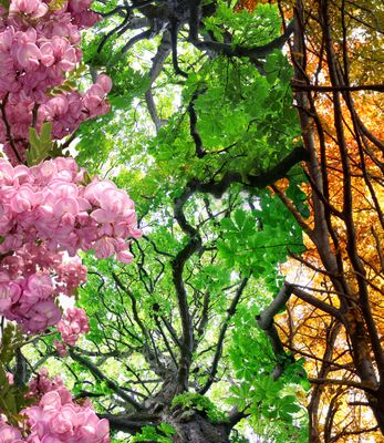 Four Seasons Landscaping in Calgary