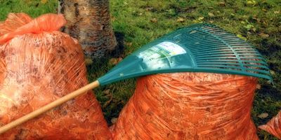 Fall Landscape Checklist