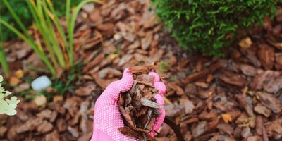 Garden Mulch Guide