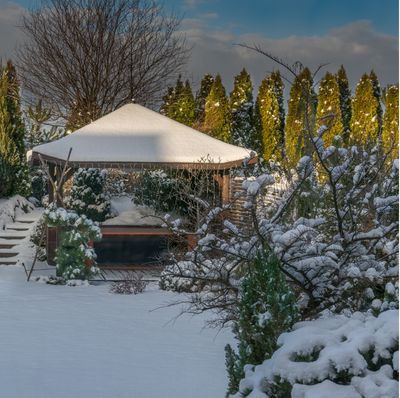 Landscaping for Winter Appeal