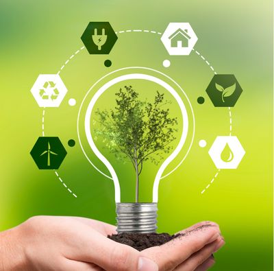 Sustainable Landscaping Ideas