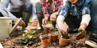 Calgary Gardening Tips